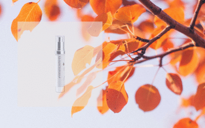 VERANDERT JOUW HUIDROUTINE MEE MET DE SEIZOENEN?